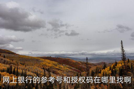 銀行卡授權(quán)碼怎么獲得，網(wǎng)上銀行的參考號和授權(quán)碼在哪里找啊