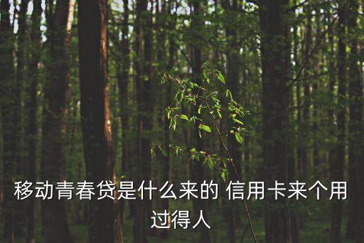 青春貸怎么換款，青春貸申請過了還可以再次申請嗎