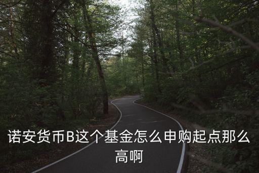 諾安貨幣B怎么樣，諾安貨幣B這個基金怎么申購起點(diǎn)那么高啊