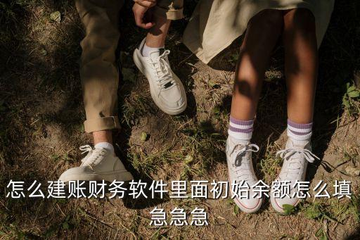 怎么建賬財(cái)務(wù)軟件里面初始余額怎么填急急急
