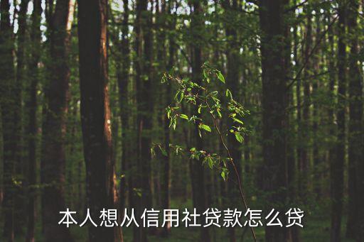 信用社信用貸怎么貸，本人想從信用社貸款怎么貸