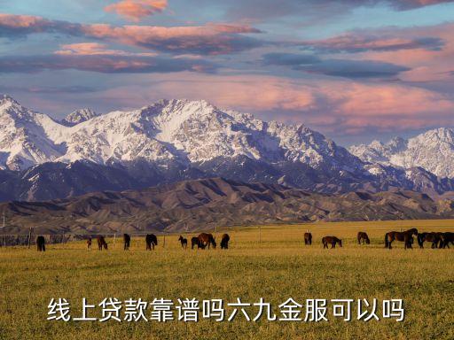 線上貸款靠譜嗎六九金服可以嗎
