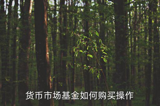 貨幣市場基金如何購買操作