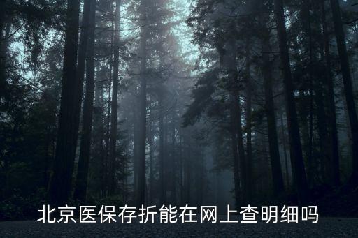 北京醫(yī)保存折能在網(wǎng)上查明細(xì)嗎