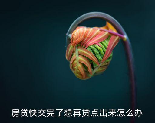 房貸快交完了想再貸點出來怎么辦