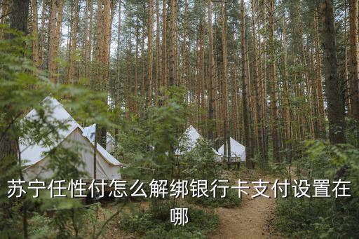 蘇寧任性付怎么解綁銀行卡支付設置在哪