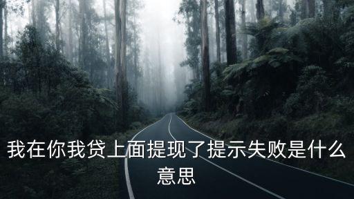 你我貸提現(xiàn)失敗怎么辦，你我貸體現(xiàn)難到哪里去投訴