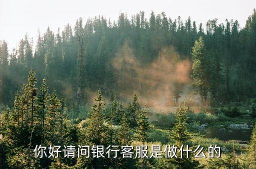 你好請(qǐng)問(wèn)銀行客服是做什么的