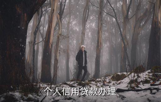 個人信用貸款辦理
