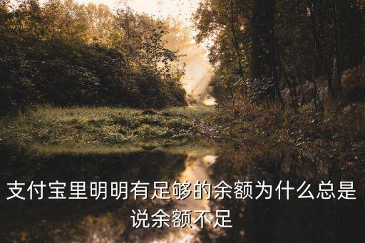 支付寶里明明有足夠的余額為什么總是說余額不足