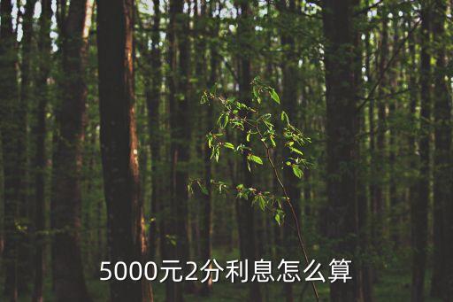 兩分多利息怎么算，2分息怎么算