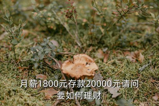 每入2萬怎么理財(cái)，初入社會青年想買點(diǎn)理財(cái)產(chǎn)品手頭有2萬