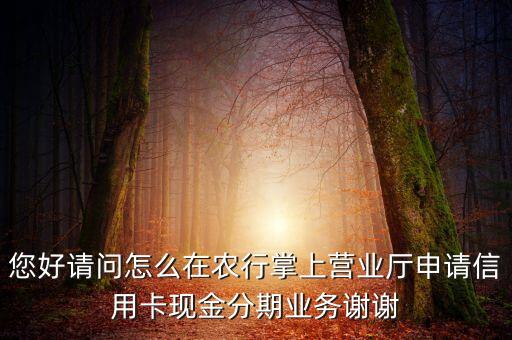 您好請問怎么在農(nóng)行掌上營業(yè)廳申請信用卡現(xiàn)金分期業(yè)務(wù)謝謝