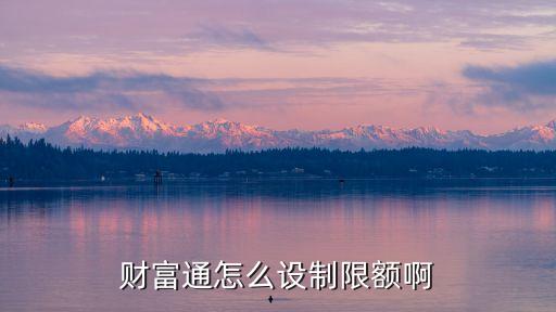 財富通怎么設制限額啊