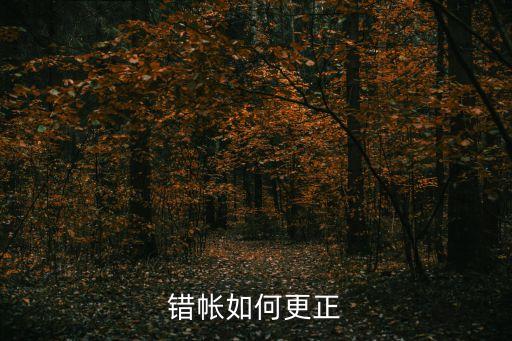 錯(cuò)帳如何更正