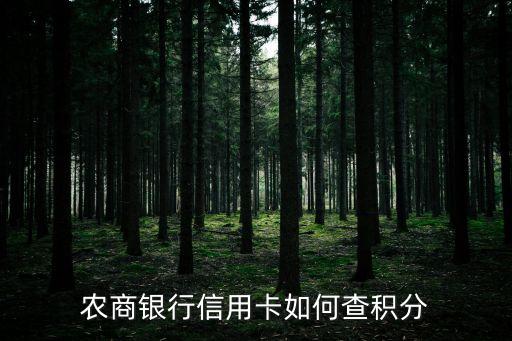 農(nóng)商信用卡積分怎么查詢，農(nóng)商銀行信用卡如何查積分