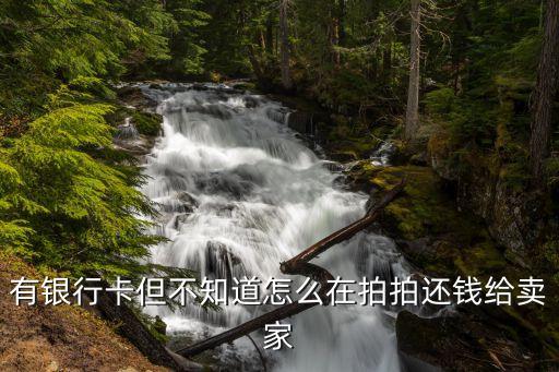 公眾號(hào)拍拍怎么還款，拍拍怎么用信用卡還款