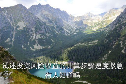 試述投資風(fēng)險收益的計算步驟速度緊急有人知道嗎