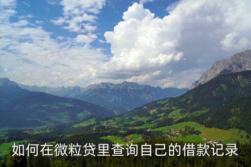 微粒貸怎么查還款記錄，怎么在微信微粒貸里查詢自己的借款記錄呢