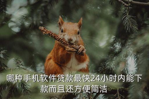 手機(jī)怎么能快速貸款，手機(jī)怎么快速借錢