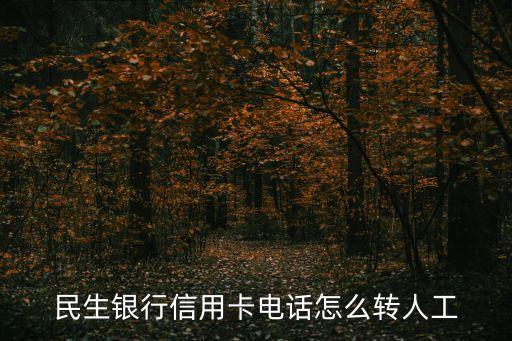 民生銀行信用卡電話怎么轉(zhuǎn)人工