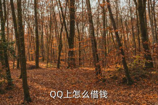 扣扣借錢功能怎么開通，qq怎么借錢功能