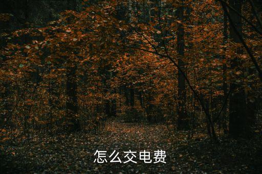 怎么交電費(fèi)