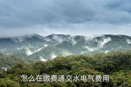 網(wǎng)上交電費后怎么辦理，電話繳費如何辦理