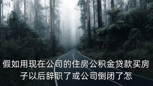 假如用現(xiàn)在公司的住房公積金貸款買房子以后辭職了或公司倒閉了怎