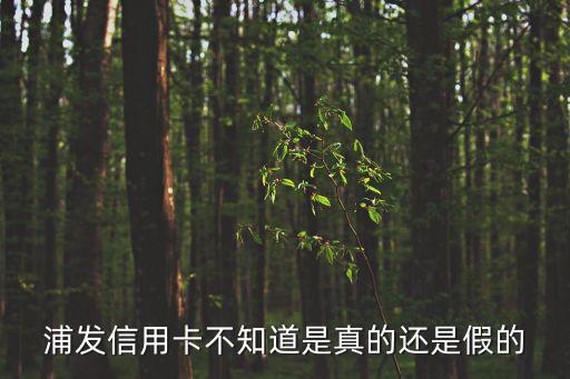 浦發(fā)信譽卡怎么看真假，浦發(fā)信用卡不知道是真的還是假的