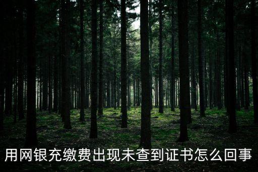 用網(wǎng)銀充繳費(fèi)出現(xiàn)未查到證書怎么回事