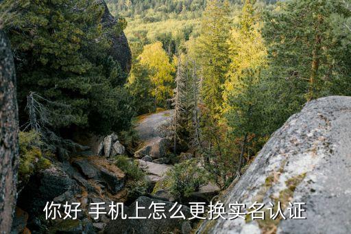 你好 手機(jī)上怎么更換實(shí)名認(rèn)證
