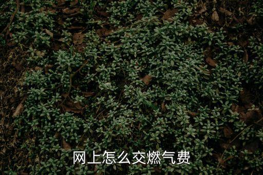 網(wǎng)上怎么交燃?xì)赓M(fèi)