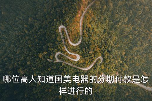 哪位高人知道國美電器的分期付款是怎樣進(jìn)行的