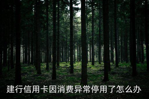 建行信用卡因消費異常停用了怎么辦
