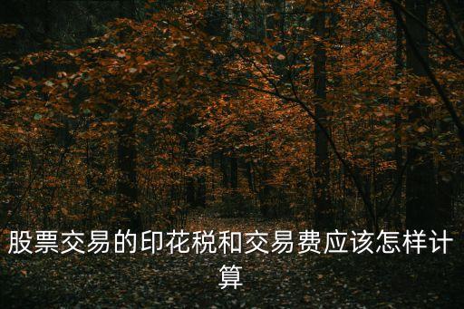 股票交易的印花稅和交易費(fèi)應(yīng)該怎樣計(jì)算