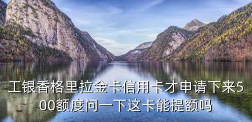 工銀香格里拉金卡信用卡才申請下來500額度問一下這卡能提額嗎