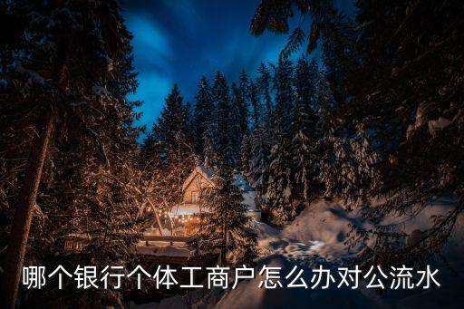 哪個(gè)銀行個(gè)體工商戶(hù)怎么辦對(duì)公流水