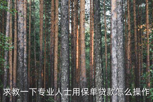 求教一下專業(yè)人士用保單貸款怎么操作