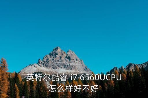 英特爾酷睿 i7 6560UCPU怎么樣好不好