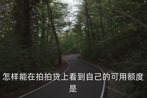 怎樣能在拍拍貸上看到自己的可用額度是