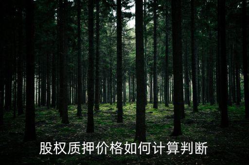 股權(quán)質(zhì)押價(jià)格如何計(jì)算判斷