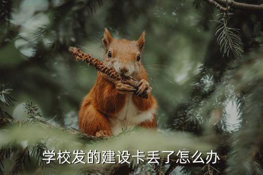 學(xué)校的建行卡丟了怎么補(bǔ)辦，學(xué)校發(fā)的建設(shè)卡丟了怎么辦