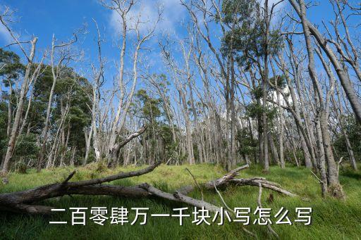 2500小寫怎么寫，二萬(wàn)五千二小寫怎么寫