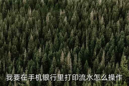 農(nóng)行網(wǎng)上怎么打印流水，農(nóng)行掌上銀行流水怎么打