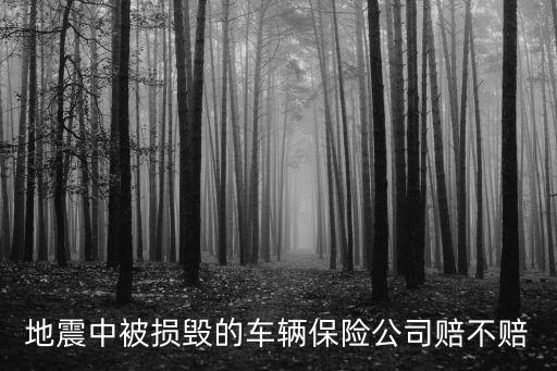 地震車輛受損怎么辦，地震后汽車的損壞能得到賠償嗎