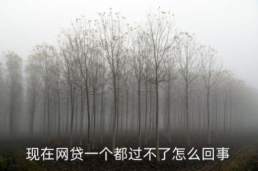 現(xiàn)在網(wǎng)貸一個都過不了怎么回事