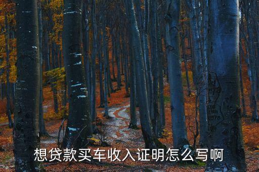 想貸款買車收入證明怎么寫啊