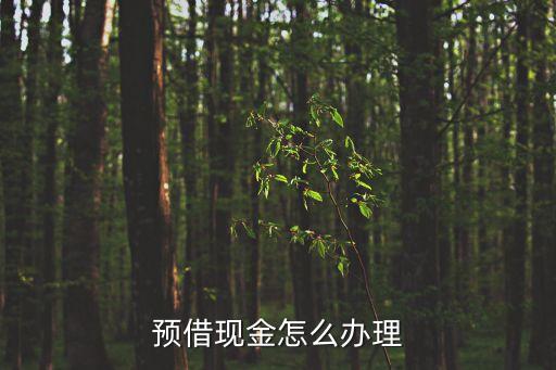 預(yù)借現(xiàn)金怎么辦理