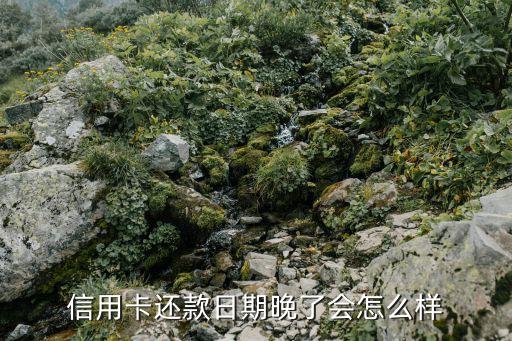 興業(yè)信用卡晚一天還款會怎么樣，興業(yè)銀行的信用卡如果晚一天還款這樣會不會有事